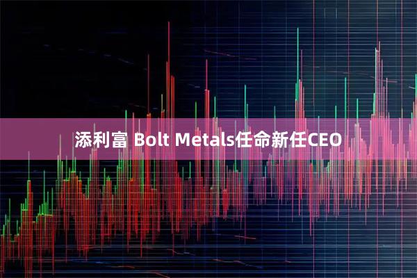 添利富 Bolt Metals任命新任CEO
