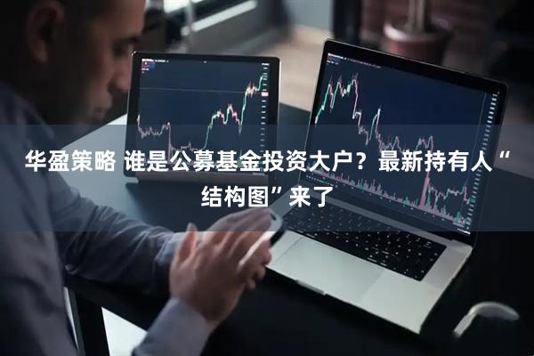 华盈策略 谁是公募基金投资大户?最新持有人“结构图”来了