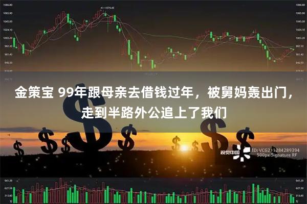 金策宝 99年跟母亲去借钱过年，被舅妈轰出门，走到半路外公追上了我们