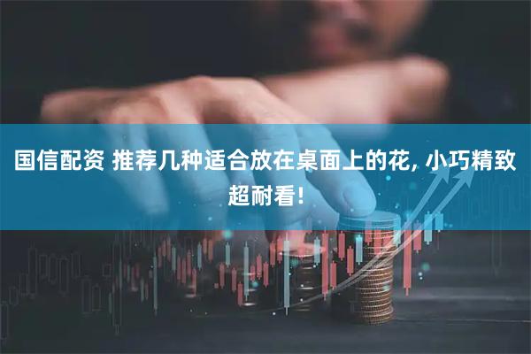 国信配资 推荐几种适合放在桌面上的花, 小巧精致超耐看!